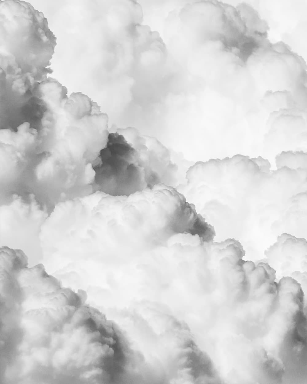 Towering black-and-white cumulus clouds