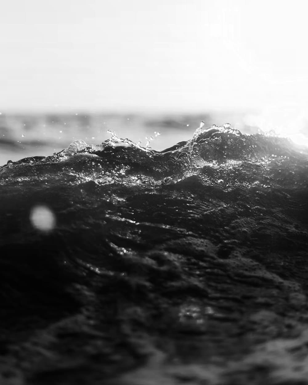 Black-and-white ocean wave catching the light
